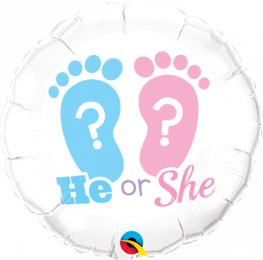He or She?, perusfoliopallo