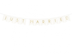 Just Married banneri 15x155cm