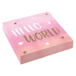 Oh Baby Hello World lautasliinat vaaleanpunainen 16kpl/pkt